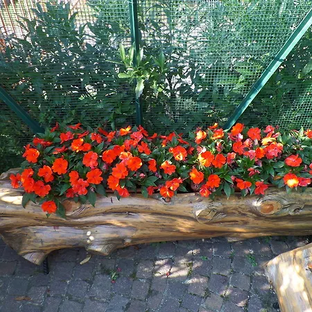 Partenza Funivia לינה וארוחת בוקר 3*